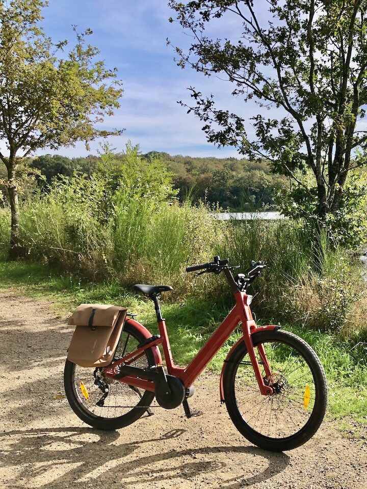 Location vélo électrique moustache